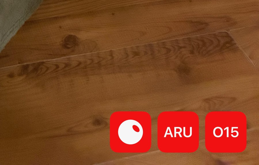 Close-up of a real code stamp burned into the corner of a photo, reading ARU O15
